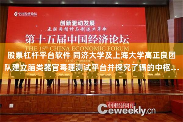 股票杠杆平台软件 同济大学及上海大学高正良团队建立脑类器官毒理测试平台并探究了镉的中枢…