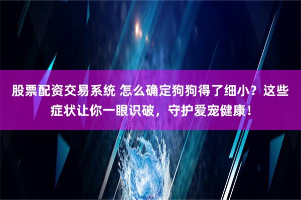 股票配资交易系统 怎么确定狗狗得了细小？这些症状让你一眼识破，守护爱宠健康！