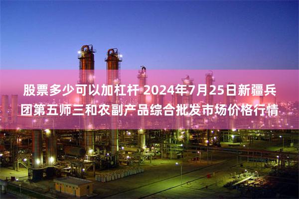 股票多少可以加杠杆 2024年7月25日新疆兵团第五师三和农副产品综合批发市场价格行情