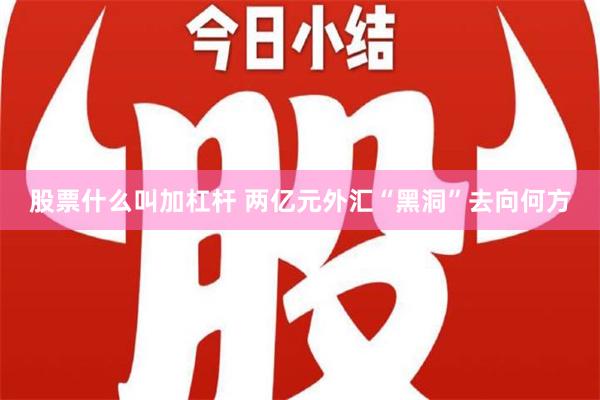 股票什么叫加杠杆 两亿元外汇“黑洞”去向何方