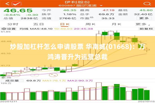 炒股加杠杆怎么申请股票 华南城(01668)：万鸿涛晋升为运营总裁