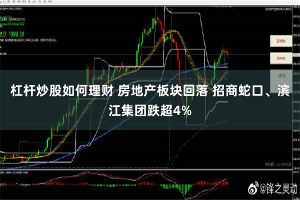 杠杆炒股如何理财 房地产板块回落 招商蛇口、滨江集团跌超4%