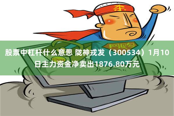 股票中杠杆什么意思 陇神戎发（300534）1月10日主力资金净卖出1876.8