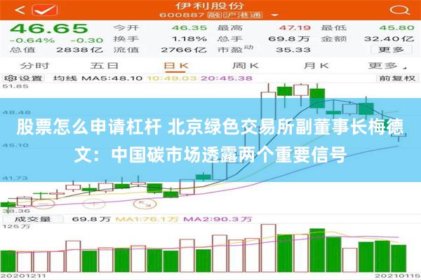 股票怎么申请杠杆 北京绿色交易所副董事长梅德文：中国碳市场透露两个重要信号