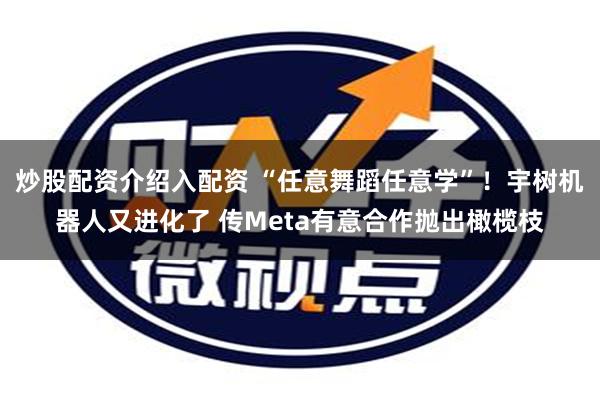 炒股配资介绍入配资 “任意舞蹈任意学”！宇树机器人又进化了 传Meta有意合作抛