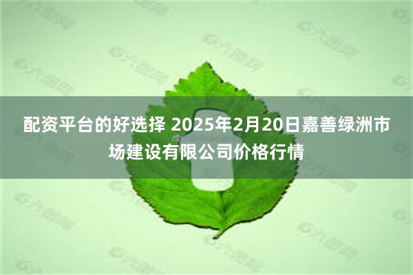 配资平台的好选择 2025年2月20日嘉善绿洲市场建设有限公司价格行情